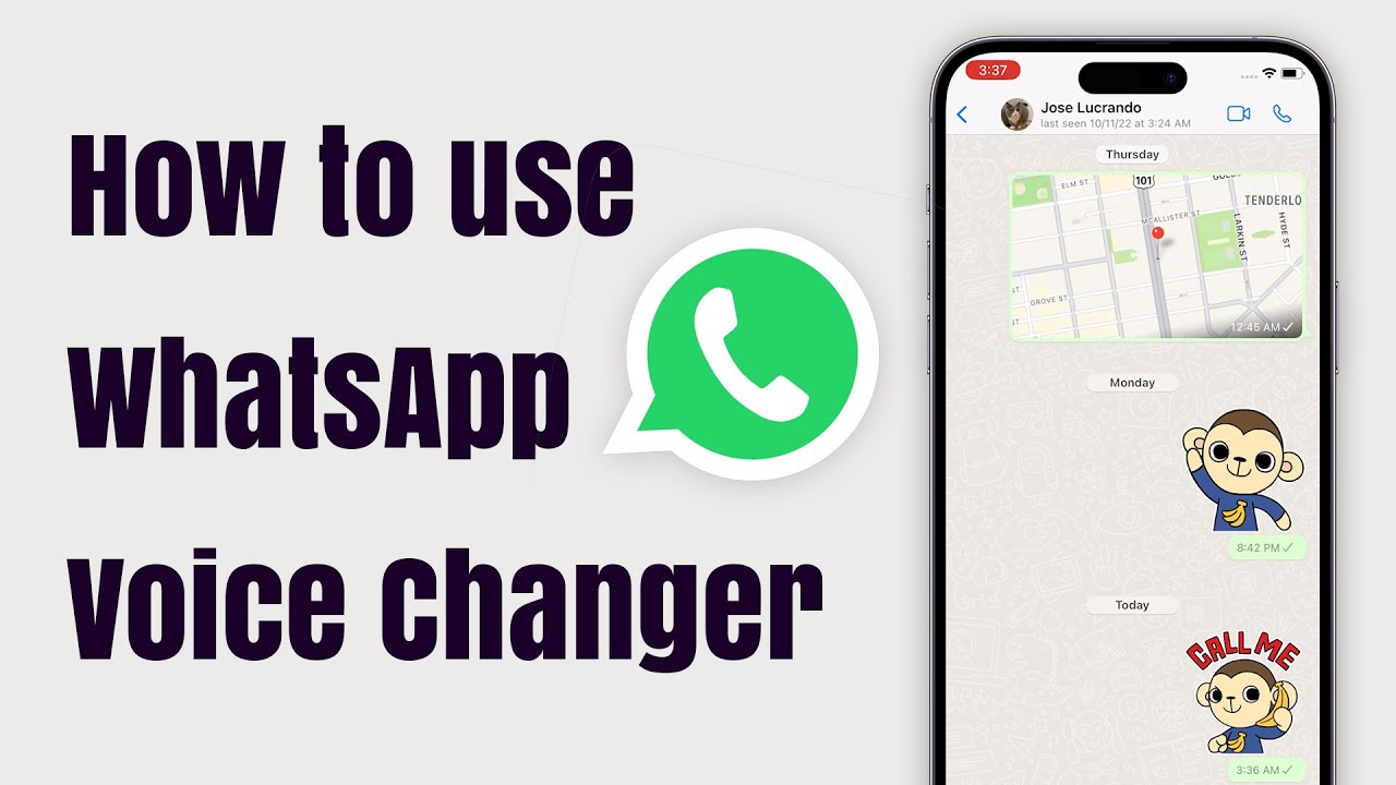 How To Change Voice During WhatsApp Call- Online, PC - YouTube