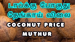 டாப்க்கு போகுது தேங்காய் விலை | Coconut Price Touching New High At Muthur | Thengai Market Nilavaram