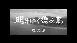 「明けゆく徳之島」No.444_1