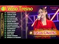 INTAN CHACHA - WISO TRESNO | KOMPILASI VIDEO LANGGAM DUTA NIRWANA CAMPURSARI GAYENG TERBARU 2024