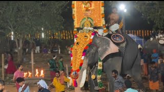 പുലർച്ച പൂരം കാവിലക്കാട് #pooram #kunnamkulam