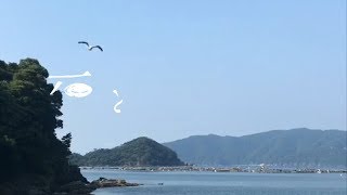 福井の海中で石拾い（旅、趣味、癒し、環境音）