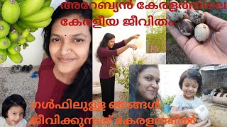 ഗൾഫിലുള്ള ഞങ്ങൾ ജീവിക്കുന്നത് കേരളത്തിൽ, അറേബ്യൻ കേരളത്തിലെ കേരളീയ ജീവിതം|Salalah Diaries by Athira