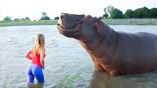 Animals Reunited With Owners After Years !