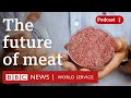 Lab-grown meat: Why are countries banning it? - The Global Story podcast, BBC World Service