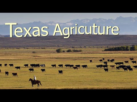 What do farmers grow in Texas?