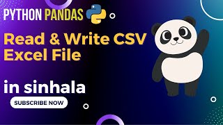 Python Pandas Tutorial 3: Read & Write CSV Excel File