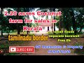 2.20 acres Coconut farm for sales in Kerala tamilnadu border