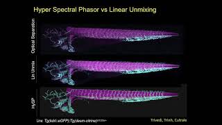 Scott Fraser - Multiplex and Multimodal Molecular Imaging of Cells In Their Natural Contexts