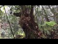 morne seychellois national park