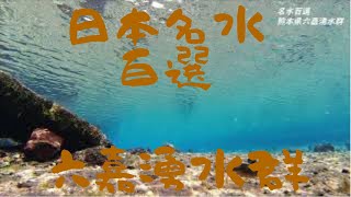 【日本名水百選　熊本六嘉湧水群】～4k水中映像～　〇〇が生息していた！？