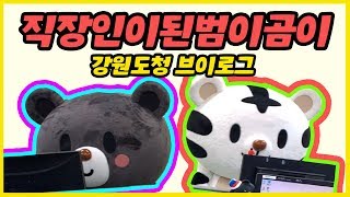 [강원도청VLOG]범이곰이 직장인 브이로그