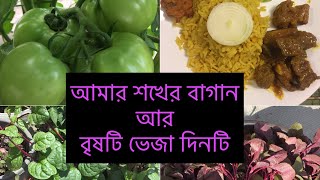 Vlog 97:-কানাডায় বাংলাদেশী শখের বাগান আর বৃষ্টিভেজা একটি ছুটির দিনের গলপ@Bangladeshicanadianmom78