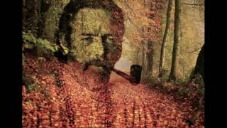 Alan Watts - There is no answer to life