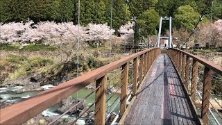 「一度は、行ってみたい！」　吊り橋のある川代公園 　のんびり散策　　兵庫県丹波市