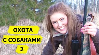 Охота с собаками. Выпуск 2. Охотничьи приключения в Норвегии /NORDIC WILD HUNTER (Охотник и рыболов)