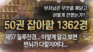 잡아함경... 1231회, 제57 질루진경... 이렇게 알고 보면 번뇌가 다할지어다...