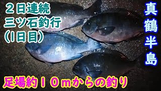 【真鶴】三ツ石の足場の高い釣り座から竿を出しました【2023年3月中旬】