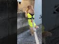 【のぞキチ】 shorts dog norfolkterrier cat ねこ ネコ 吉 愛犬キチ