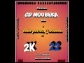 ngozards conservateurs et cd moubeka présentent