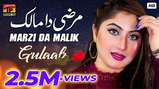 Marzi Da Malik (Official Video) | Gulaab | Tp Gold