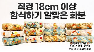 직경 18cm 이상 다육이 합식하기 안성맞춤 넙떼기 화분! 계묘년 토끼화분 숲속토끼 몰고가세요🐰 010 5121 9933 행복한꽃그릇 Korean succulent plants