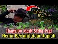 Cukup 30 Menit Setiap Pagi !! Hemat Jutaan Rupiah di kebun organik