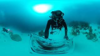 Diving Porto Mari, Curaçao in VR (4K)
