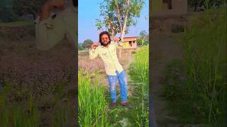 Dil Ko dhadkana tumhin Ne sikhaya #shorts #viralvideo #song #trending #youtubeshorts