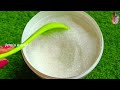 എപ്സം സോൾട്ട് അറിയേണ്ടതെല്ലാം epsom salt advantage u0026 disadvantage for plants malayalam fertilizer