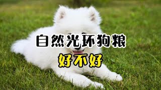 自然光环狗粮好不好？