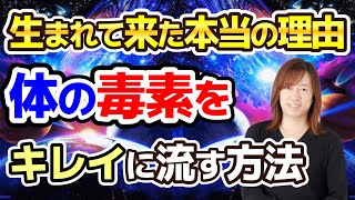 【並木良和さん】この地球に生まれてきた理由は、たった１つの事をする為だけに生まれました。