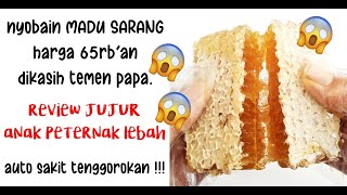 madu sarang lebah mellifera yang lagi viral (review jujur) tonton dulu sebelum memutuskan beli