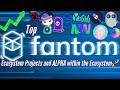 Top Fantom Ecosystem Gems | How to Setup Fantom Opera Wallet, Lucrative Staking APR's