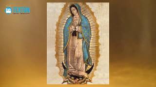 Consigue una Imagen de la Virgen tocada por el Manto de Guadalupe