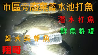 《廢棄蓄水池打魚》自由潛水打魚 市區旁神秘蓄水池 裡面生態豐富 什麼都有 釣魚打魚都合適 抓幾隻回家料理#抓海鲜#料理 #趕海 #打魚#做菜 #自由潛水