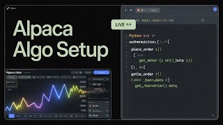 How to Use the Alpaca API with Python (Step by Step)