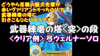 【白猫プロジェクト】どうやら花園の猟犬先輩が赤いヴァリアントそっちのけで武器強化に勤しむそうです【武器練磨の塔-突-の段】