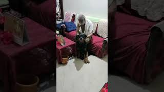 എന്റെ കറുത്ത മുത്ത് 🥰 #pets #doglover #shorts #reels #explore