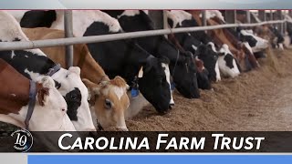 Carolina Farm Trust | Carolina Impact