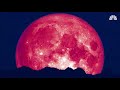 why june’s strawberry moon is the most colorful full moon of the year mach nbc news