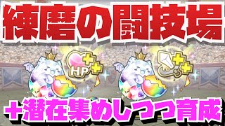 【潜在＋集めながら育成】育成枠3or4体 練磨の闘技場周回編成紹介！！【パズル\u0026ドラゴンズ】