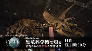 ガリレオX#248 DinoScience恐竜科学博で知る 恐竜たちのリアルな生きざま　番宣30sec