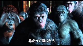 映画「猿の惑星:新世紀(ライジング)」予告編（100秒）