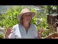 how to get the most success from your summer gardening gardening 101 gardening australia