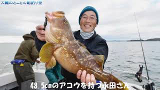 楽しい落とし込み釣り【船釣り】泳がせ釣りでアコウ\u0026青物大物ゲット！！～兵庫・姫路沖～