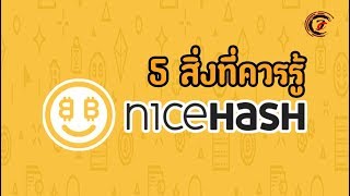 [แนะนำมือใหม่หัดขุด]5 สิ่งที่ควรรู้เกี่ยวกับ Nicehash !!!