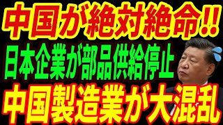 【海外の反応】中国経済崩壊⁉キヤノンと富士フィルムが中国撤退！その結果中国製造業界が絶体絶命の危機に・・・