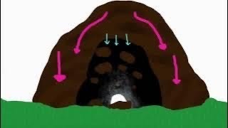 How do tunnels maintain their structure?