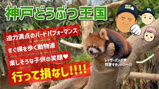 神戸どうぶつ王国最強説！子供と動物が触れ合える最高の場所に行ってきました♬【兵庫県神戸市】